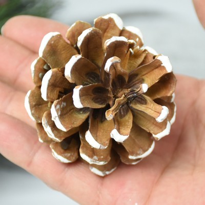 BSCI FSC SMETA DIY material best selling hot sale 4-5cm natural or colorful festival ornament decorations xmas pinecone